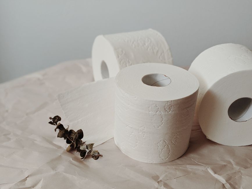 Toilettes sèches